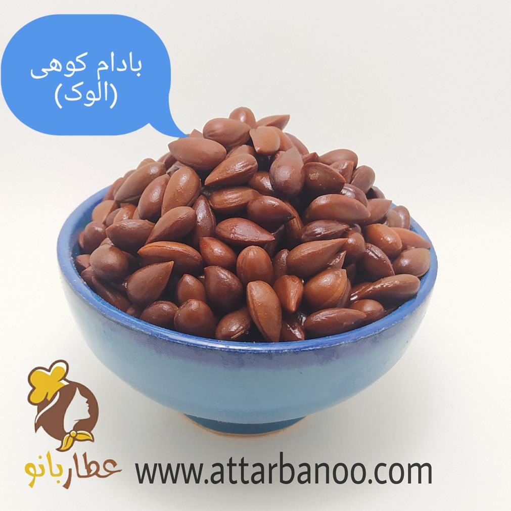 الوک کوهی