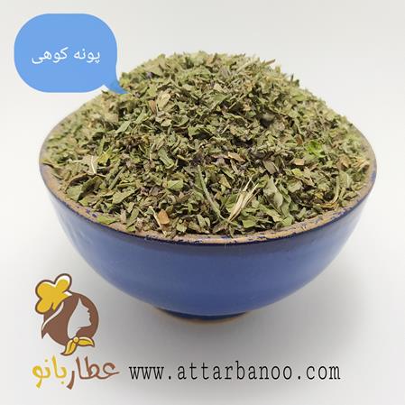 پونه کوهی