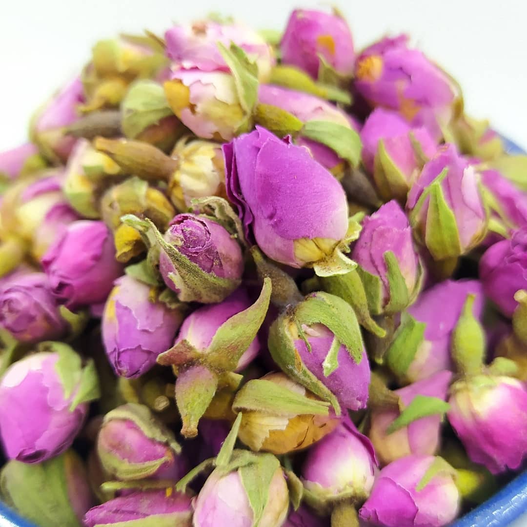 غنچه گل محمدی - تصویر 3