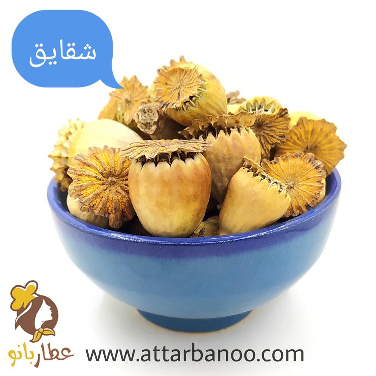 شقایق غوزه