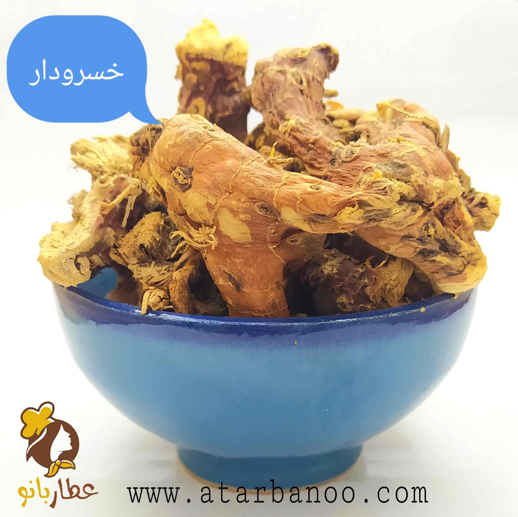 خسرودار قلم
