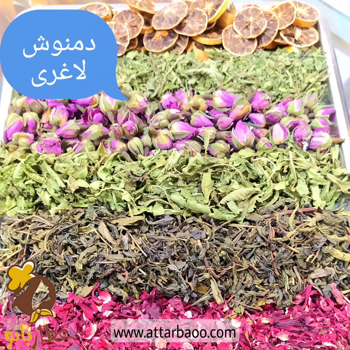 دمنوش لاغری